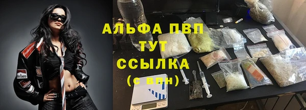 ПСИЛОЦИБИНОВЫЕ ГРИБЫ Заволжье
