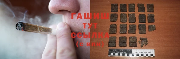 ПСИЛОЦИБИНОВЫЕ ГРИБЫ Заволжье