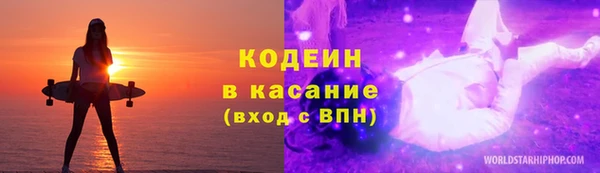 ПСИЛОЦИБИНОВЫЕ ГРИБЫ Заволжье