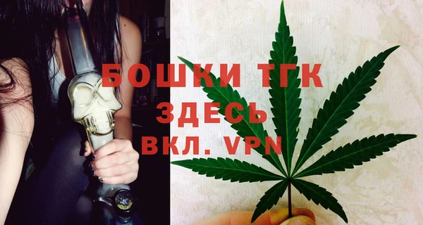 ПСИЛОЦИБИНОВЫЕ ГРИБЫ Заволжье
