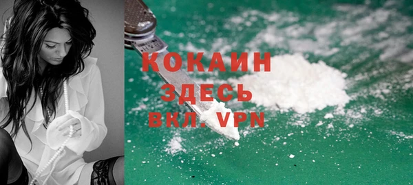 ПСИЛОЦИБИНОВЫЕ ГРИБЫ Заволжье