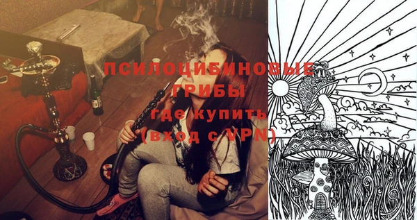 ПСИЛОЦИБИНОВЫЕ ГРИБЫ Заволжье